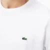 ⁦לקוסט-LACSOTE TSHIRT MEN SHORT - White⁩ – תמונה ⁦4⁩